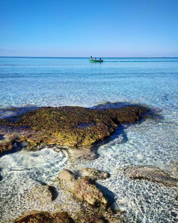 B&B Tre Perle Gallipoli Eksteriør bilde